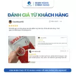 Men Vi Sinh PSB Đậm Đặc